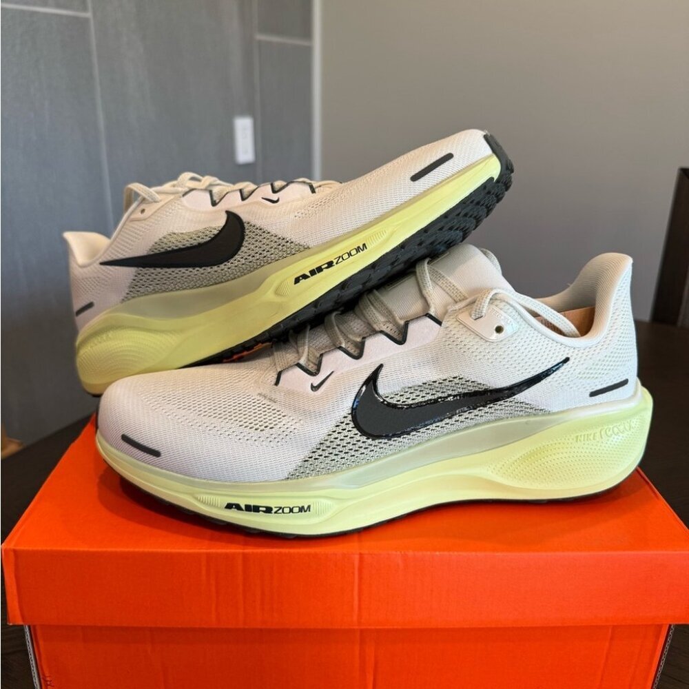 Nike Men’s Pegasus 41